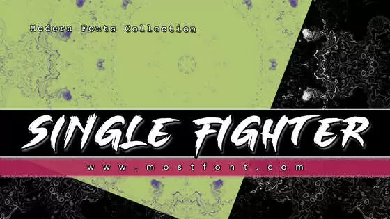 Typographic Design of SINGLE-FIGHTER