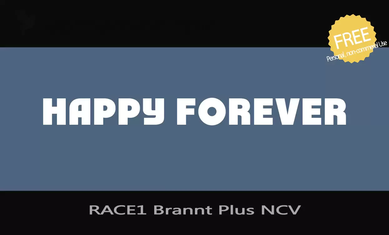 「RACE1-Brannt-Plus-NCV」字体效果图