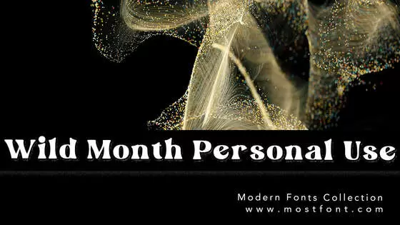 「Wild-Month-Personal-Use」字体排版样式