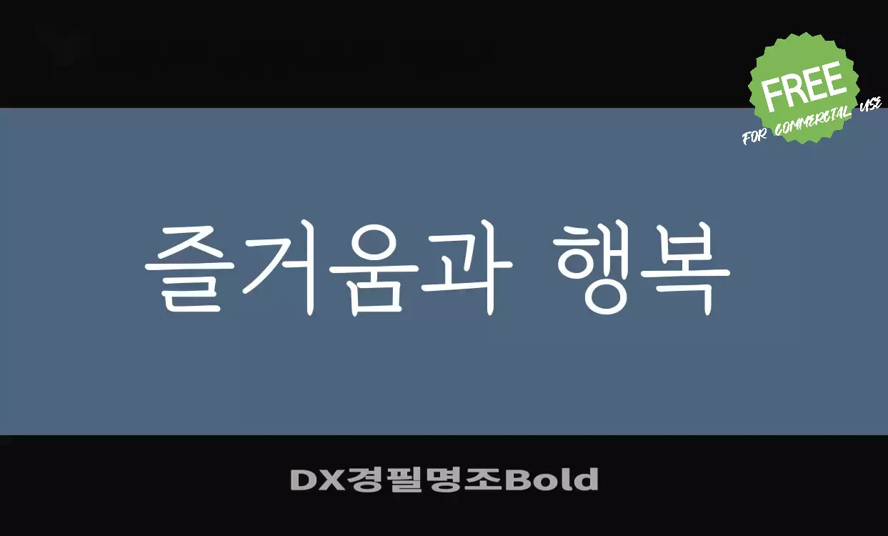 「DX경필명조Bold」字体效果图