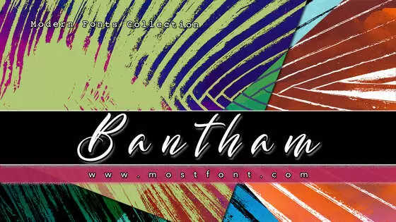 Typographic Design of Bantham