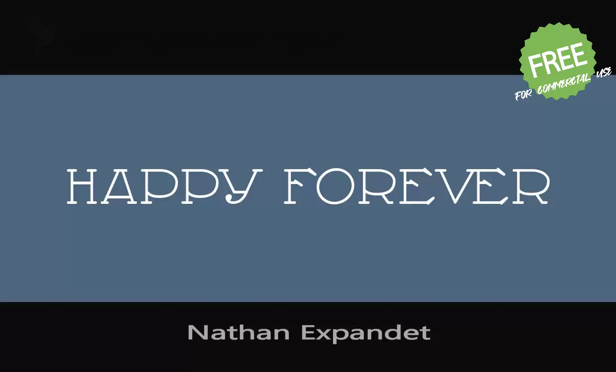 「Nathan-Expandet」字体效果图