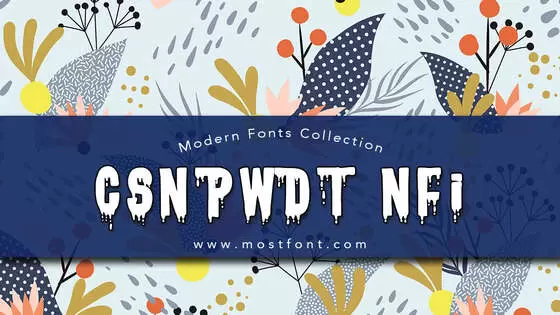 「CSNPWDT-NFI」字体排版样式