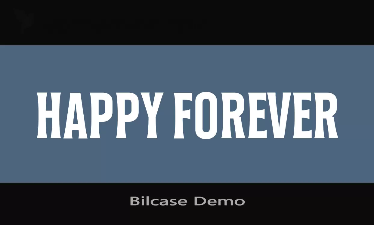 Sample of Bilcase-Demo