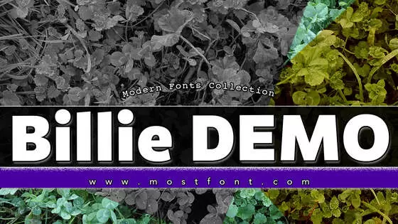 Typographic Design of Billie-DEMO