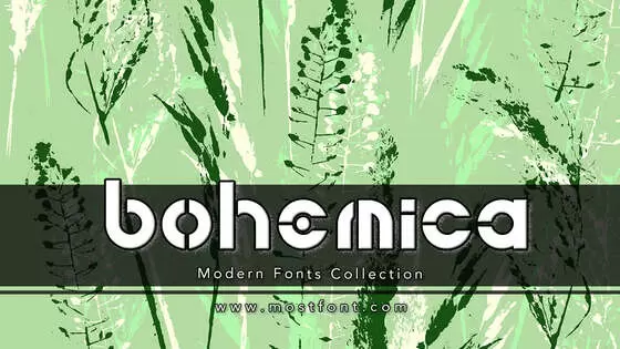 Typographic Design of Bohemica