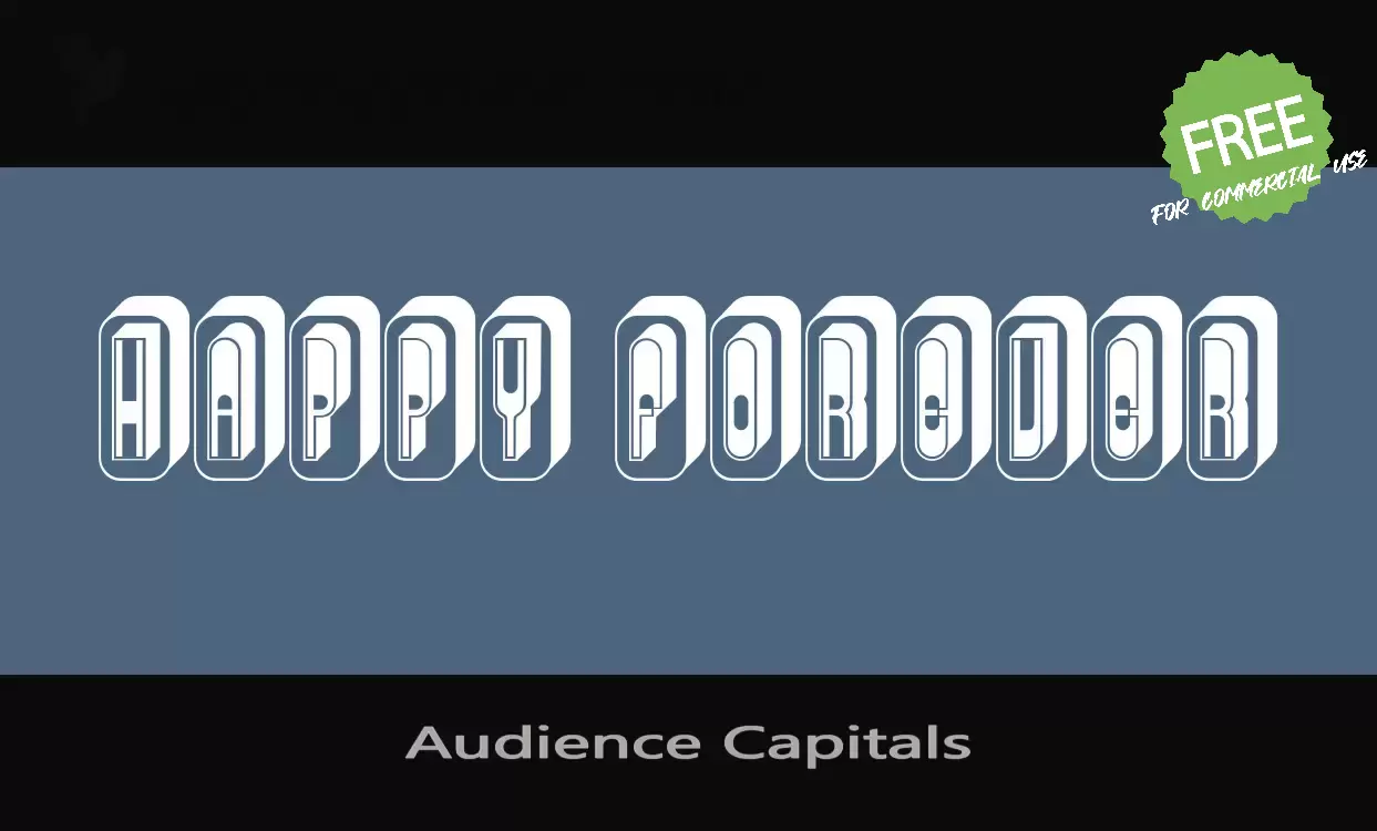 Sample of Audience-Capitals