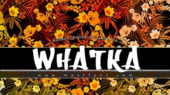 「Whatka」字体排版图片