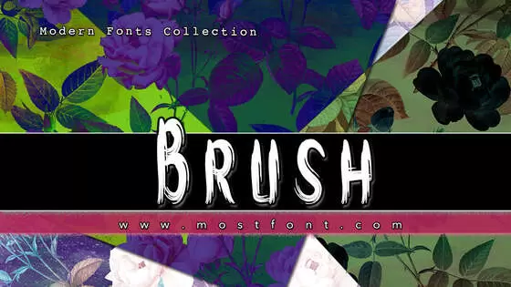 「Brush」字体排版图片