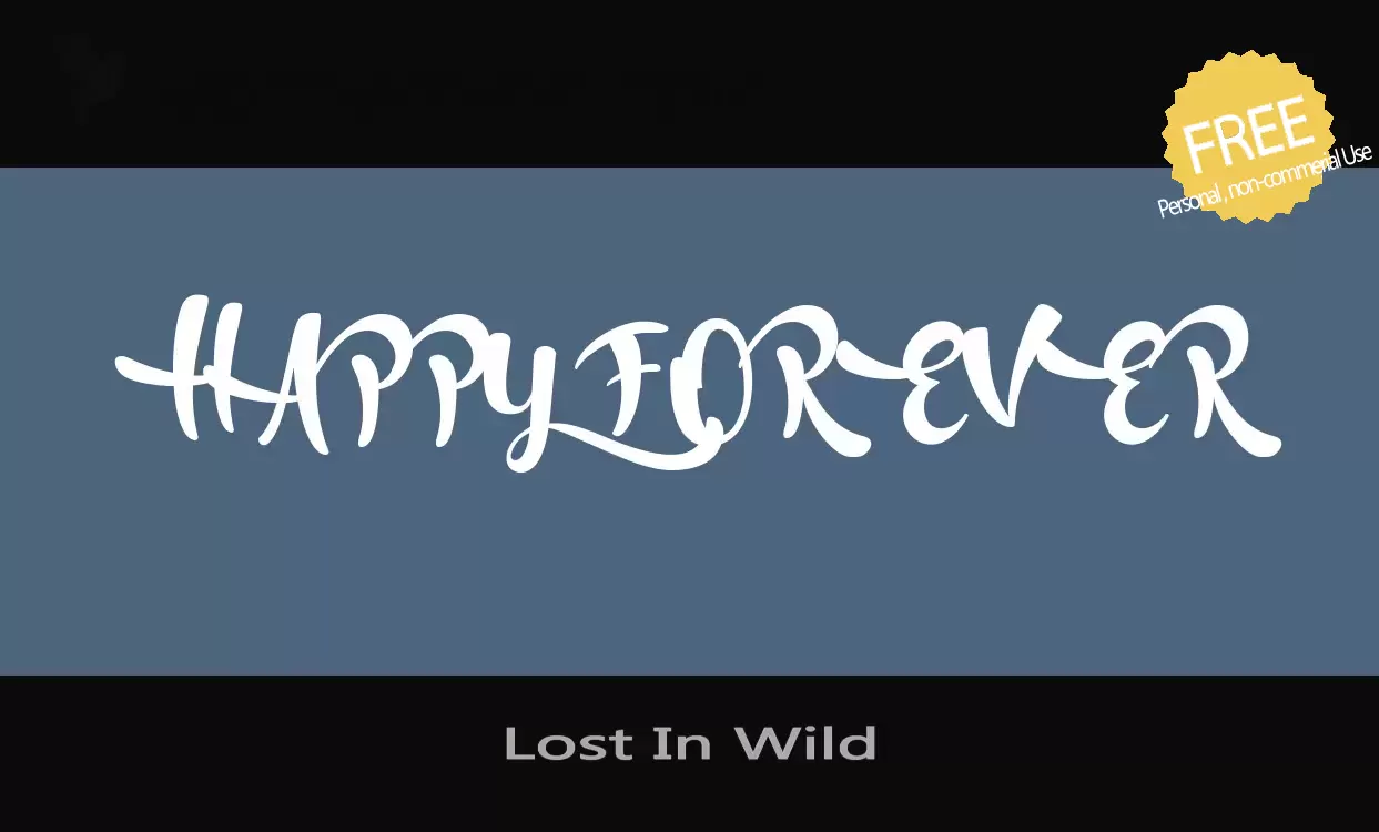 「Lost-In-Wild」字体效果图