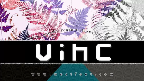 Typographic Design of Vinc