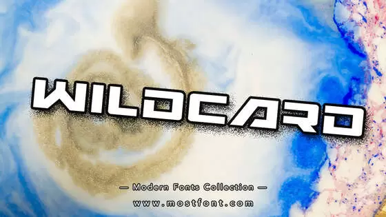 「Wildcard」字体排版图片