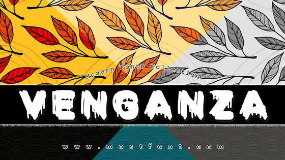 「VENGANZA」字体排版样式