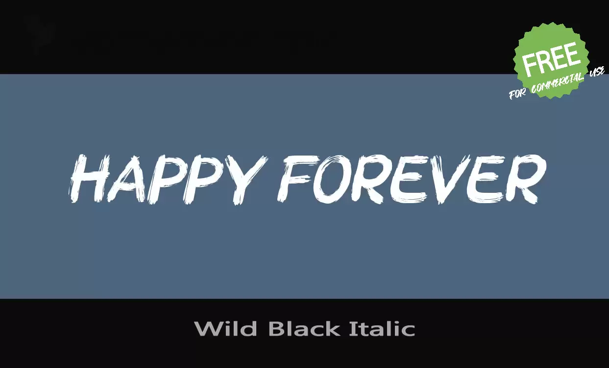 「Wild-Black-Italic」字体效果图