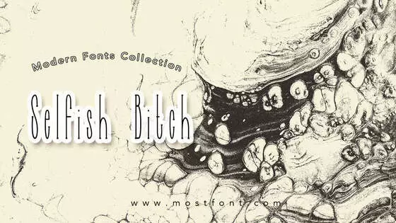 Typographic Design of Selfish-Bitch