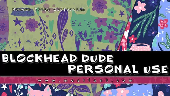 「BLOCKHEAD-DUDE-Personal-Use」字体排版图片