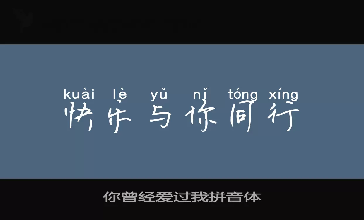 Sample of 你曾经爱过我拼音体