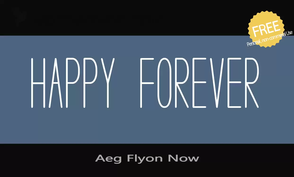 「Aeg-Flyon-Now」字体效果图