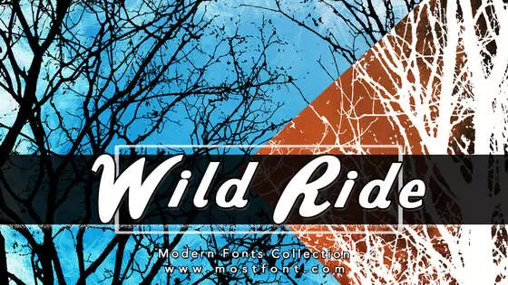 Typographic Design of Wild-Ride