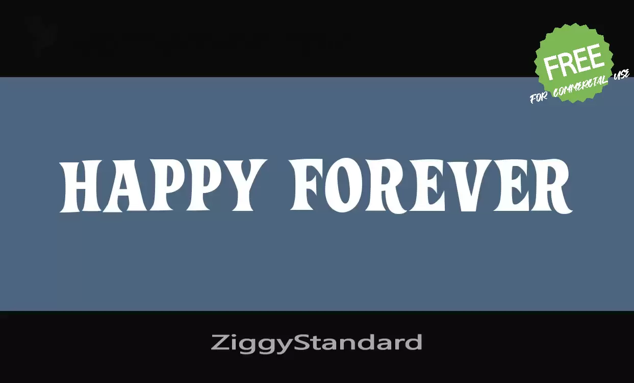 「ZiggyStandard」字体效果图