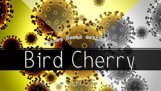 Typographic Design of Bird-Cherry