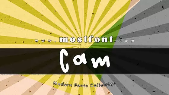 「Cam」字体排版图片