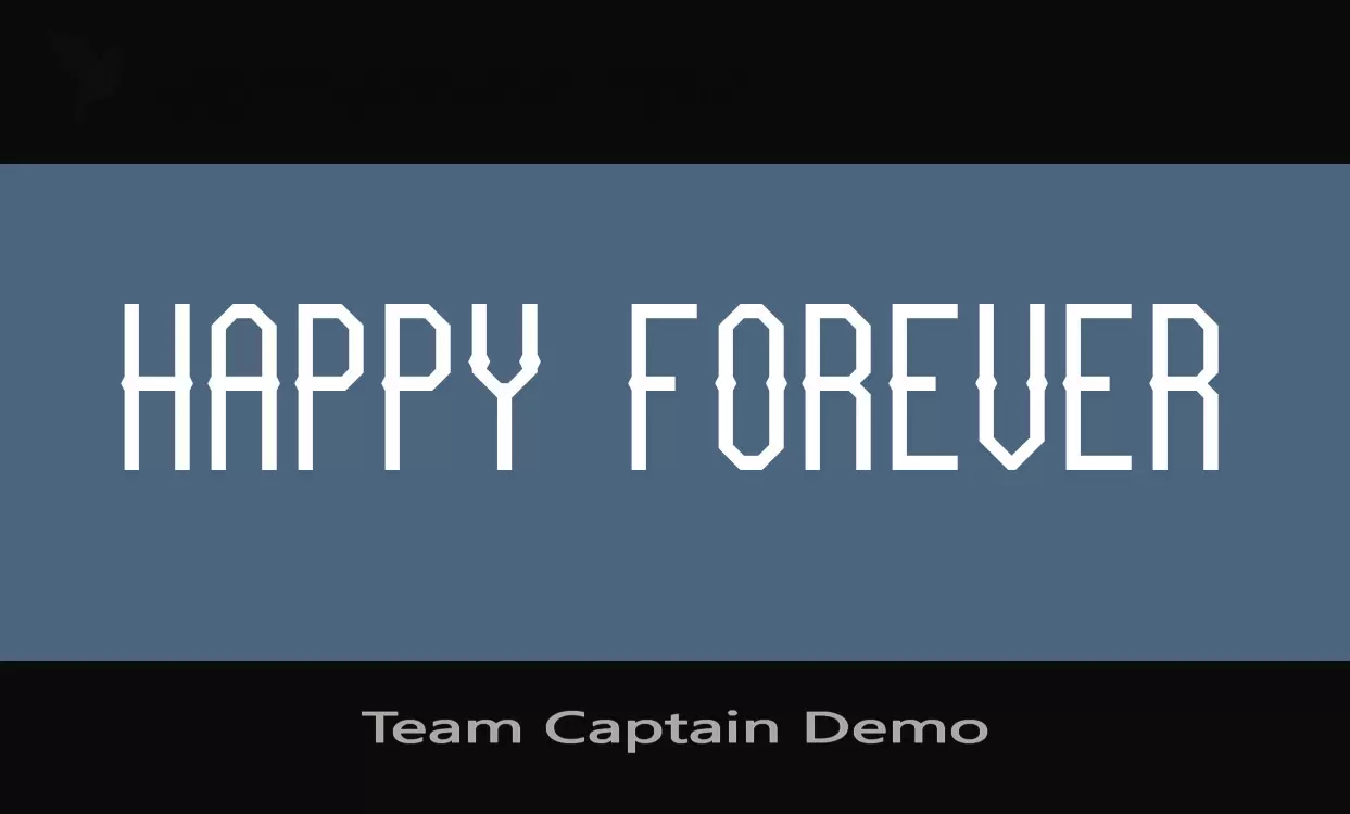 Sample of Team-Captain-Demo