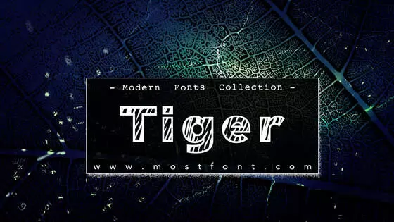 Typographic Design of Tiger