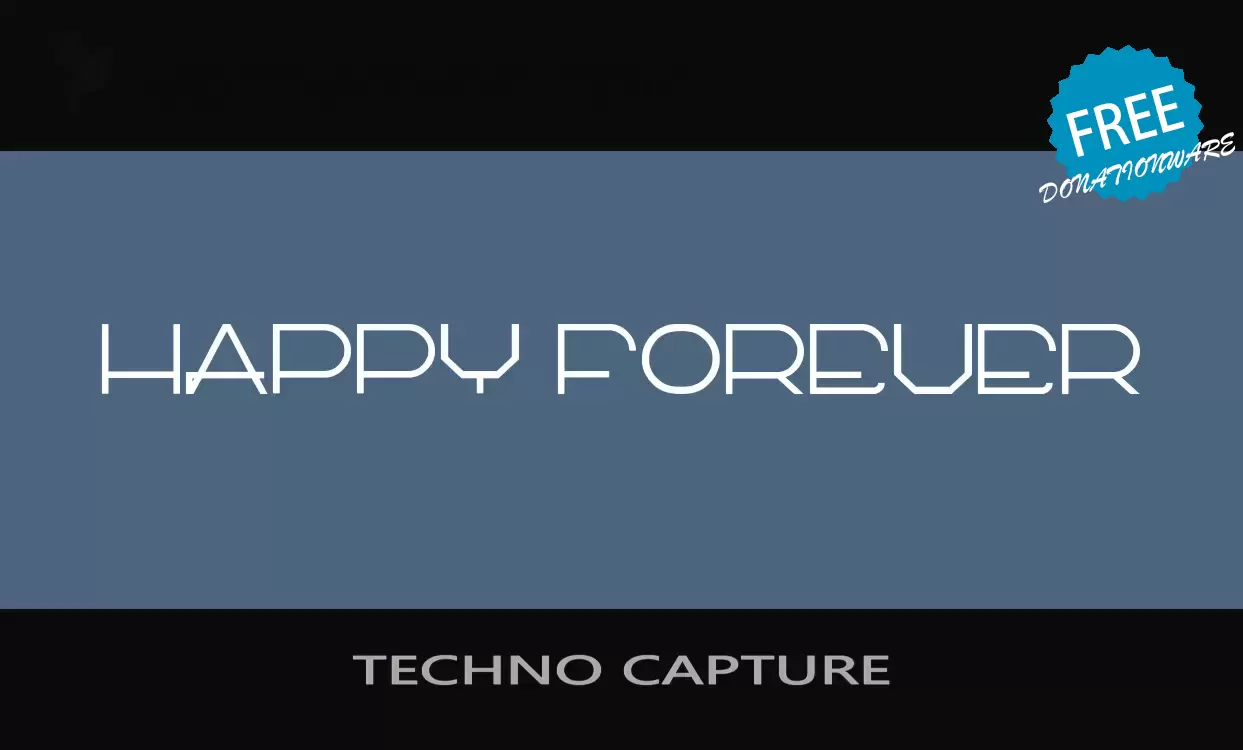 Sample of TECHNO-CAPTURE