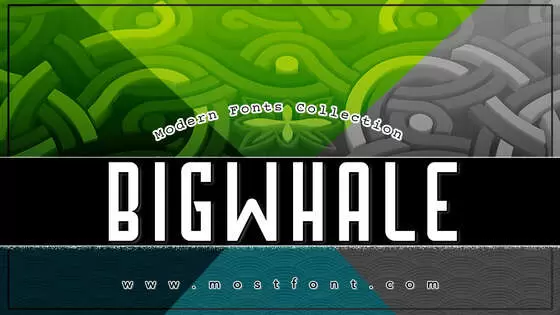 Typographic Design of Bigwhale