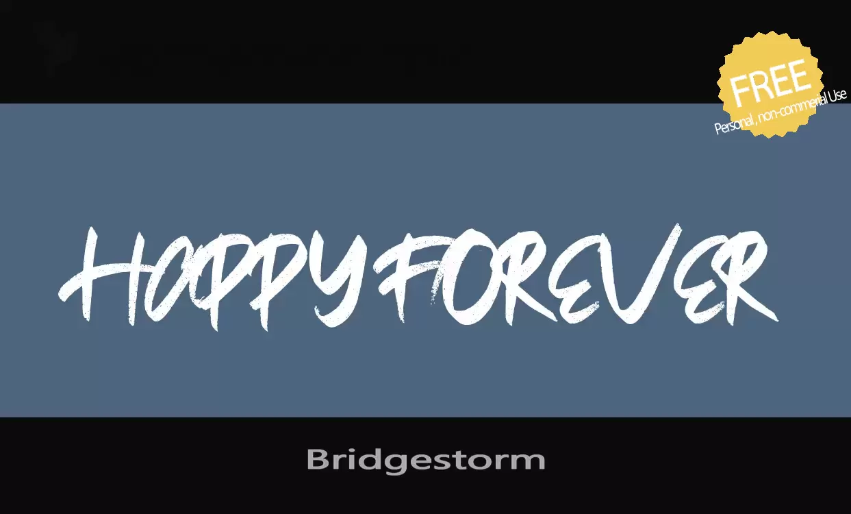 「Bridgestorm」字体效果图