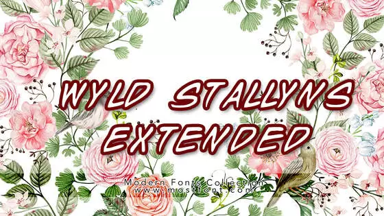 Typographic Design of Wyld-Stallyns-Extended