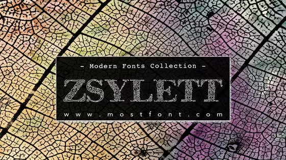 「Zsylett」字体排版样式