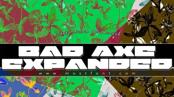 「Bad-Axe-Expanded」字体排版图片