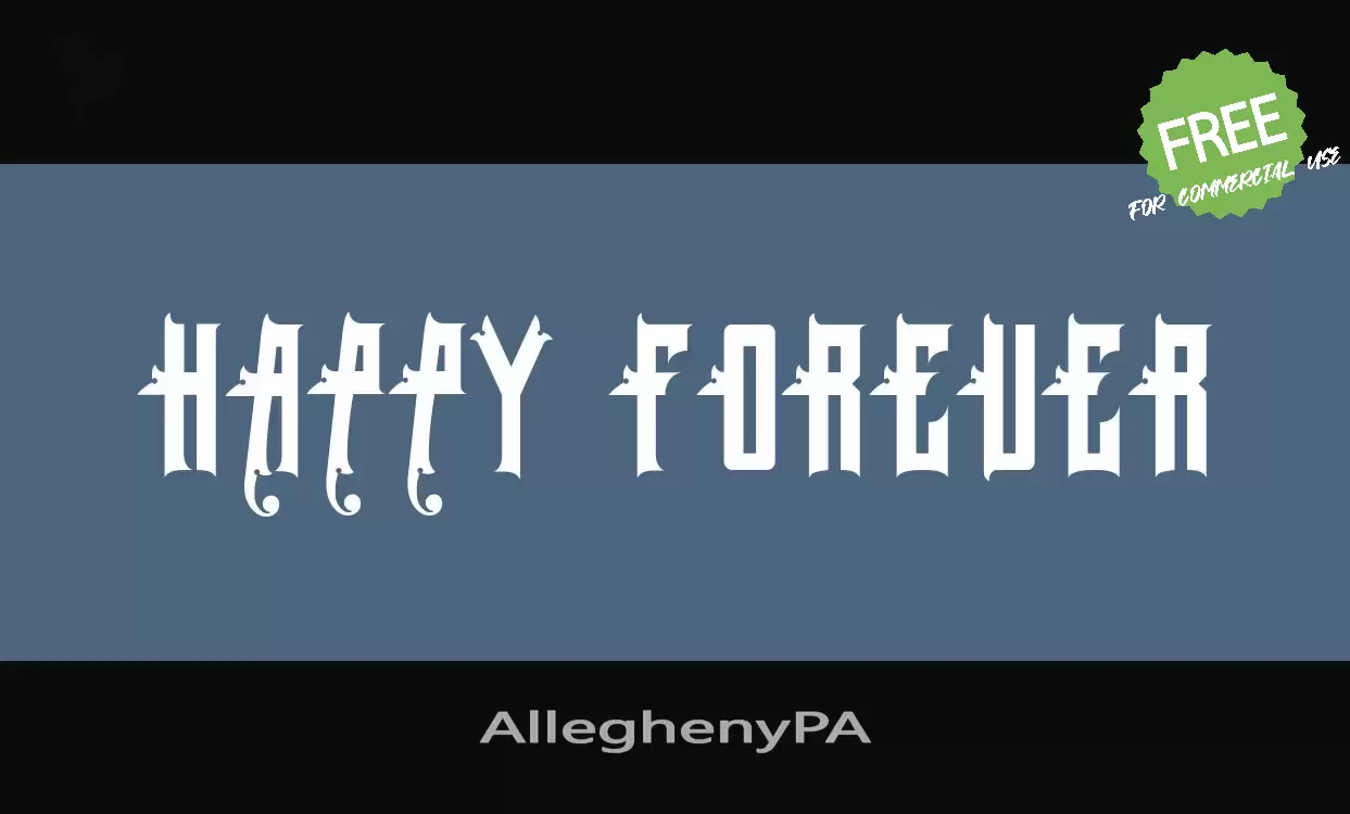 「AlleghenyPA」字体效果图