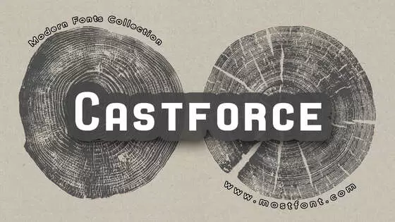 「Castforce」字体排版图片