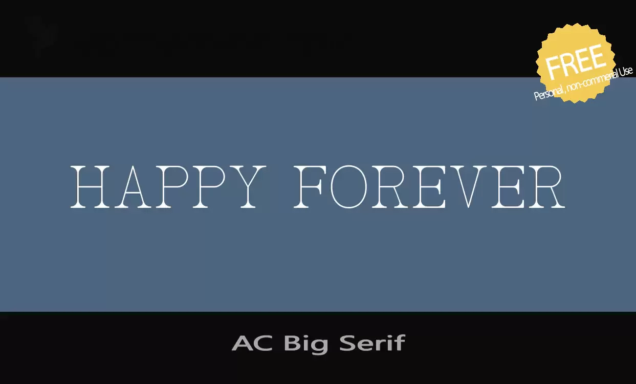 「AC-Big-Serif」字体效果图