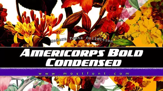 「Americorps-Bold-Condensed」字体排版样式