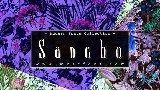 「Sancho」字体排版图片