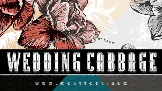 Typographic Design of Wedding-Cabbage