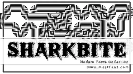 Typographic Design of Sharkbite