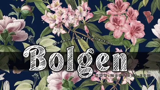 「Bolgen」字体排版图片