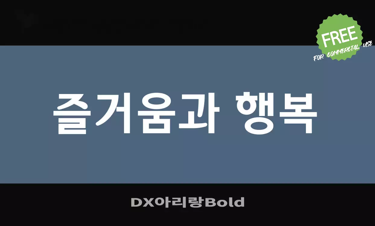 「DX아리랑Bold」字体效果图