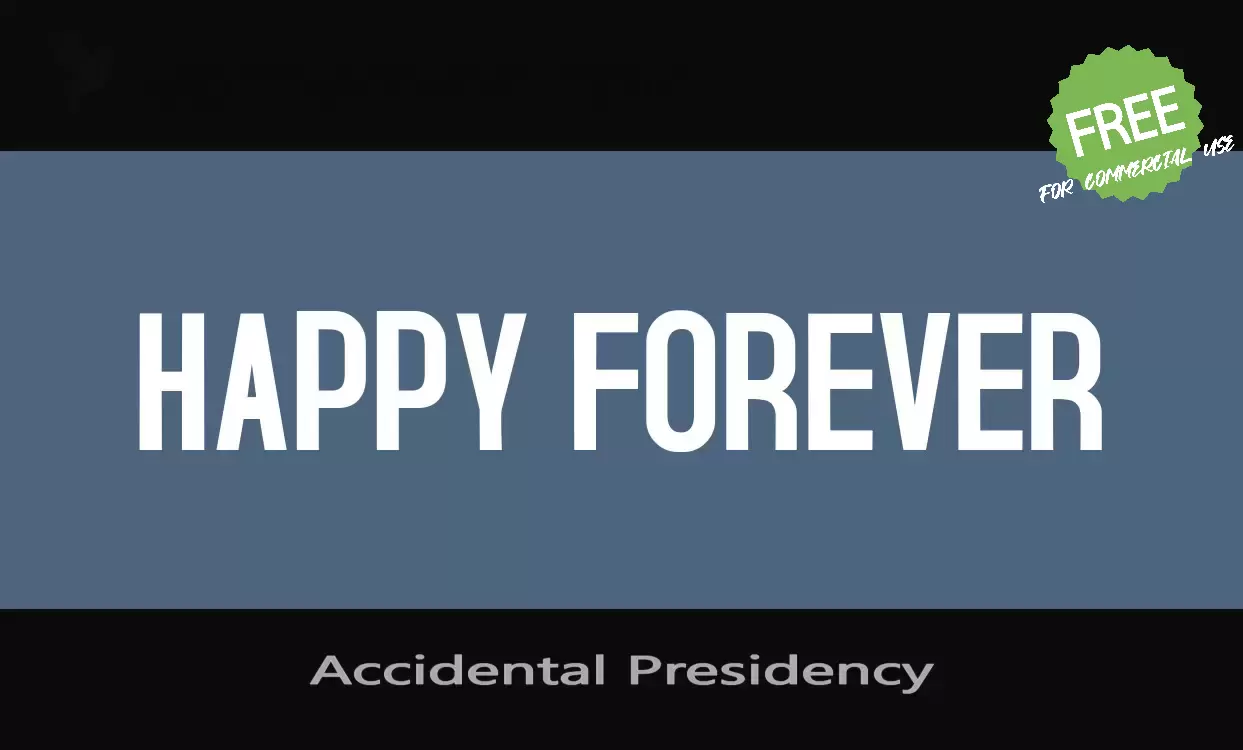 「Accidental-Presidency」字体效果图