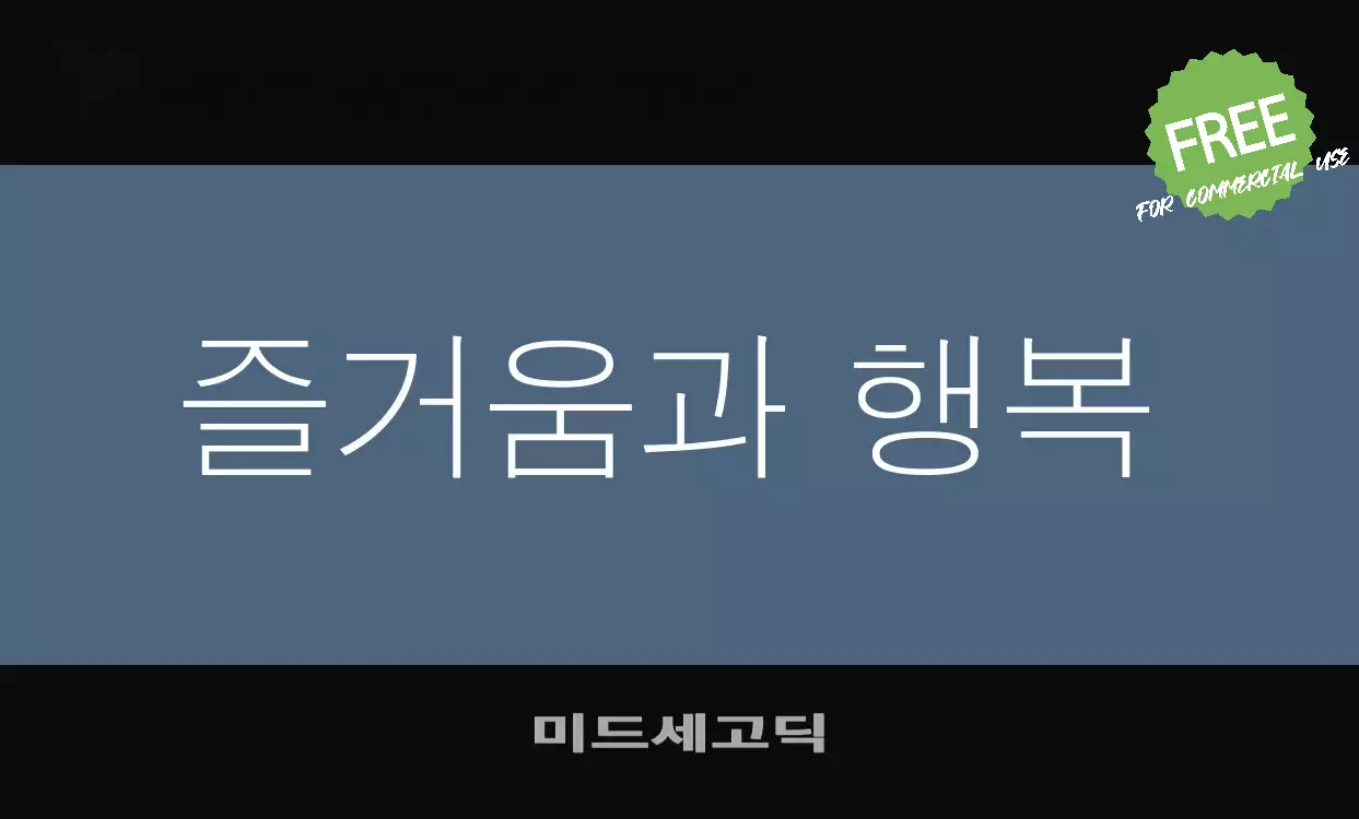 「미드세고딕」字体效果图