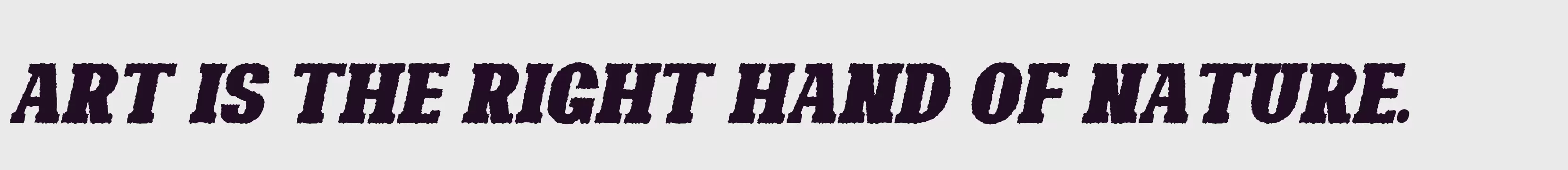 「Bonaro Rough Italic Demo」字体效果图