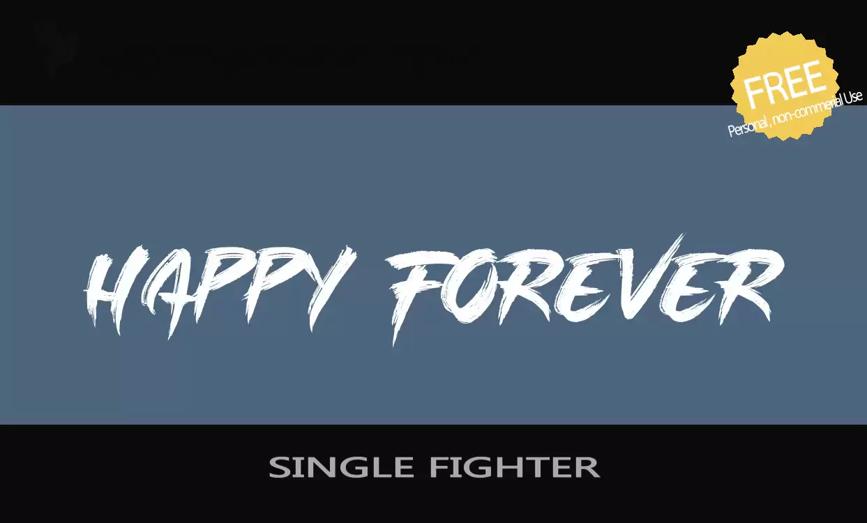 「SINGLE-FIGHTER」字体效果图