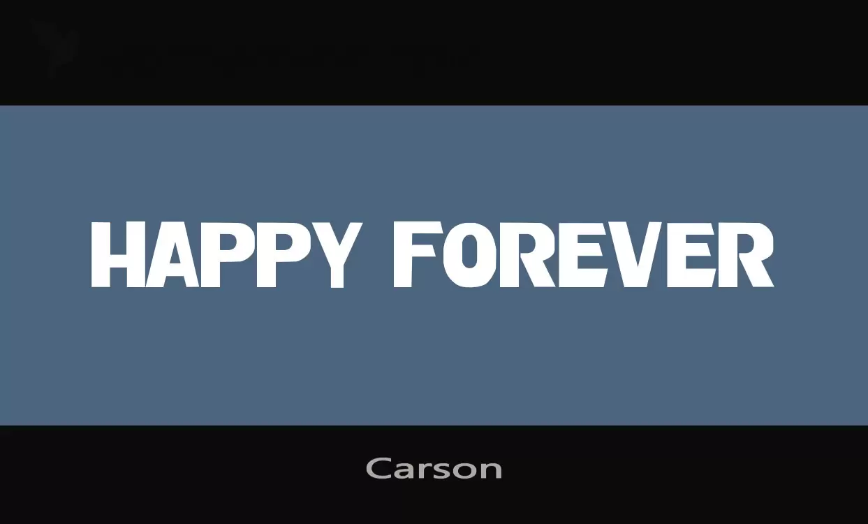 「Carson」字体效果图