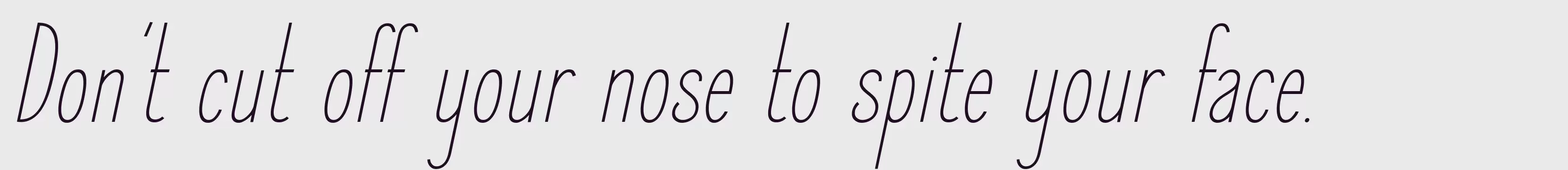 Preview Of Elegant Sans Light Italic