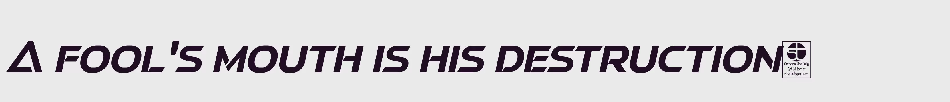 Preview Of Swera Italic Demo